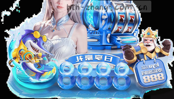 支持的赛事项目有哪些？